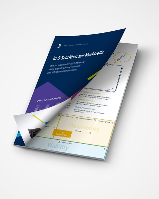 in 5 Schritten zur Marktreife eBook in 5 Schritten zur Marktreife eBook